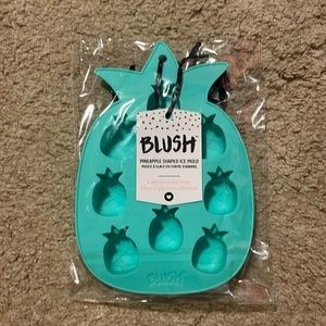 Blush - Silicone - pineapple shaped ice mold - teal
